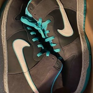 Nike Dunk High size 12